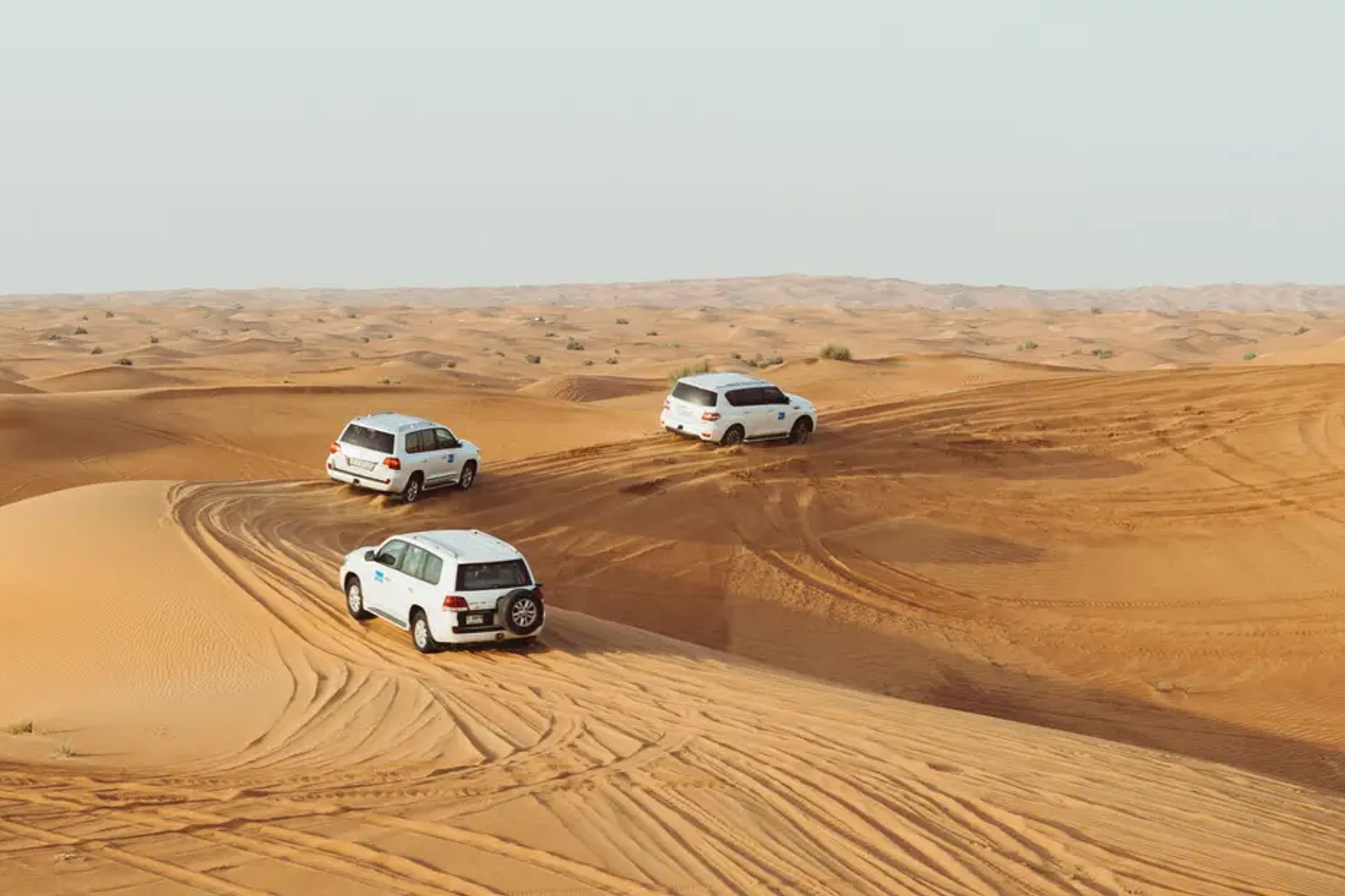 Abu Dhabi desert safari with BBQ camel ride and sandboarding